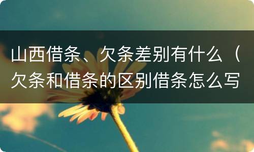 山西借条、欠条差别有什么(欠条和借条的区别借条怎么写)