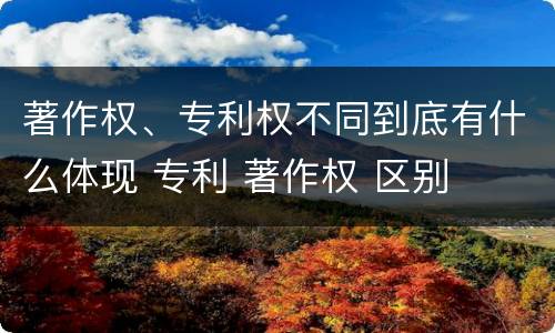 著作权、专利权不同到底有什么体现 专利 著作权 区别
