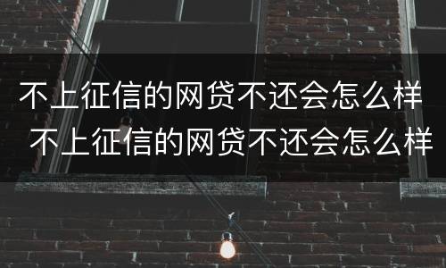 不上征信的网贷不还会怎么样 不上征信的网贷不还会怎么样吗
