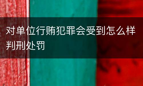 对单位行贿犯罪会受到怎么样判刑处罚