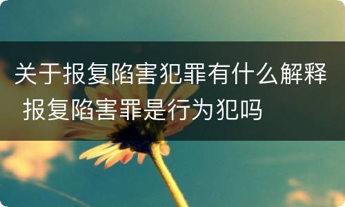 关于报复陷害犯罪有什么解释 报复陷害罪是行为犯吗