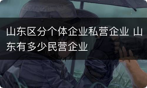 山东区分个体企业私营企业 山东有多少民营企业