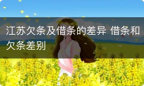 江苏欠条及借条的差异 借条和欠条差别