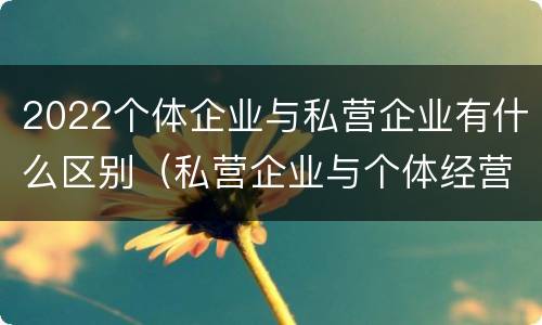 2022个体企业与私营企业有什么区别（私营企业与个体经营企业的区别）