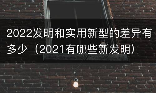 2022发明和实用新型的差异有多少（2021有哪些新发明）