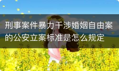 刑事案件暴力干涉婚姻自由案的公安立案标准是怎么规定