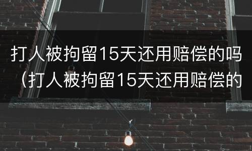 打人被拘留15天还用赔偿的吗（打人被拘留15天还用赔偿的吗）