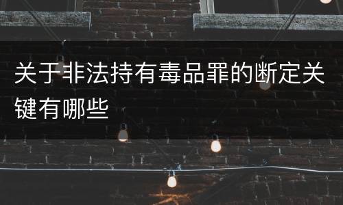 关于非法持有毒品罪的断定关键有哪些