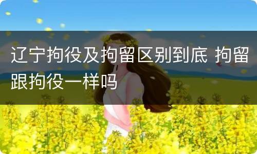 辽宁拘役及拘留区别到底 拘留跟拘役一样吗