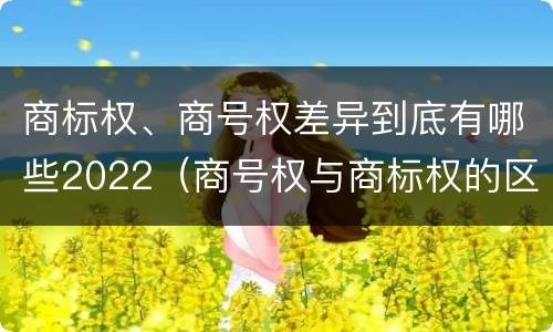 商标权、商号权差异到底有哪些2022（商号权与商标权的区别）