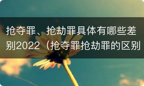 抢夺罪、抢劫罪具体有哪些差别2022（抢夺罪抢劫罪的区别）