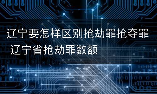 辽宁要怎样区别抢劫罪抢夺罪 辽宁省抢劫罪数额