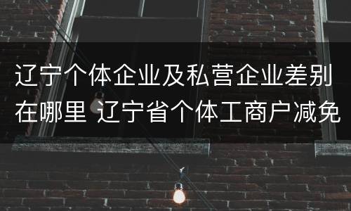 辽宁个体企业及私营企业差别在哪里 辽宁省个体工商户减免政策