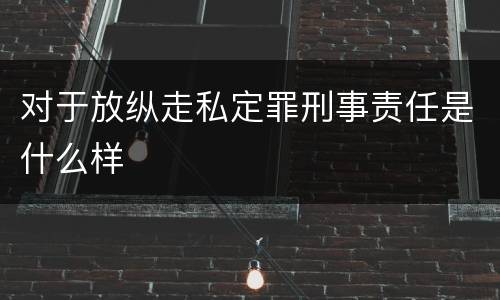 对于放纵走私定罪刑事责任是什么样