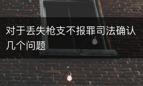 对于丢失枪支不报罪司法确认几个问题