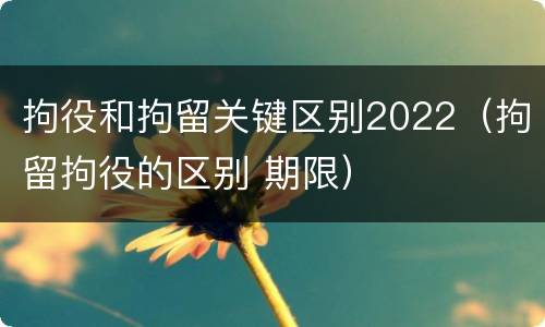 拘役和拘留关键区别2022（拘留拘役的区别 期限）