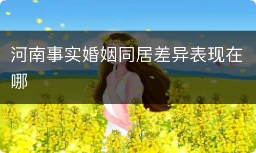 河南事实婚姻同居差异表现在哪