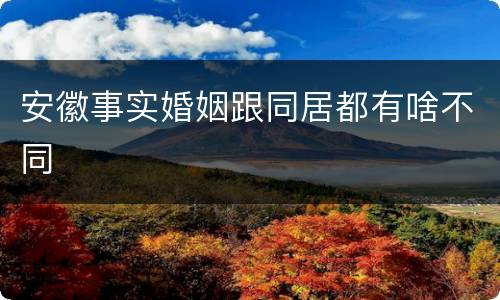 安徽事实婚姻跟同居都有啥不同
