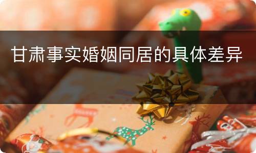 甘肃事实婚姻同居的具体差异