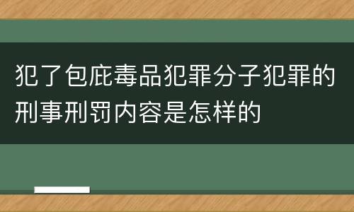 犯了包庇毒品犯罪分子犯罪的刑事刑罚内容是怎样的