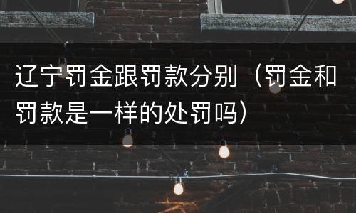 辽宁罚金跟罚款分别（罚金和罚款是一样的处罚吗）