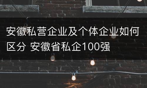 安徽私营企业及个体企业如何区分 安徽省私企100强