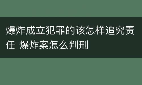 爆炸成立犯罪的该怎样追究责任 爆炸案怎么判刑