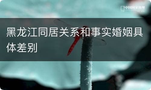 黑龙江同居关系和事实婚姻具体差别