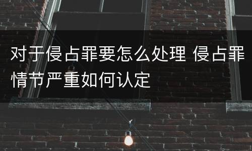 对于侵占罪要怎么处理 侵占罪情节严重如何认定