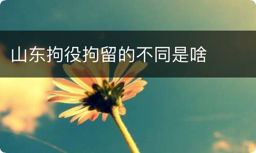 山东拘役拘留的不同是啥