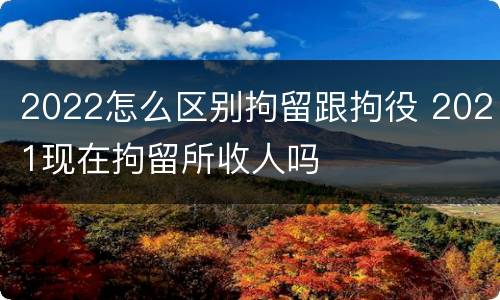 2022怎么区别拘留跟拘役 2021现在拘留所收人吗