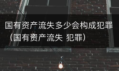 国有资产流失多少会构成犯罪（国有资产流失 犯罪）