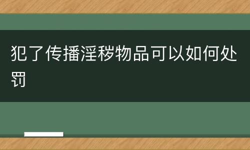 犯了传播淫秽物品可以如何处罚