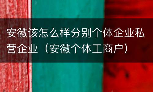 安徽该怎么样分别个体企业私营企业（安徽个体工商户）