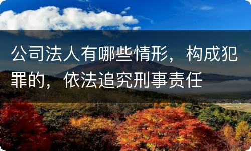 公司法人有哪些情形，构成犯罪的，依法追究刑事责任