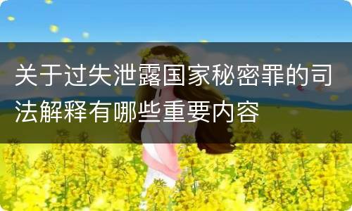 关于过失泄露国家秘密罪的司法解释有哪些重要内容