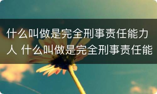 什么叫做是完全刑事责任能力人 什么叫做是完全刑事责任能力人呢