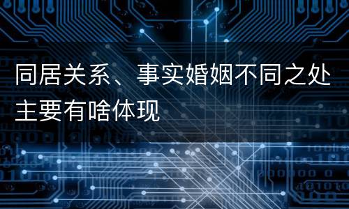 同居关系、事实婚姻不同之处主要有啥体现