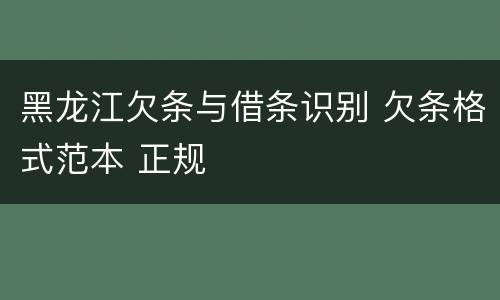 黑龙江欠条与借条识别 欠条格式范本 正规