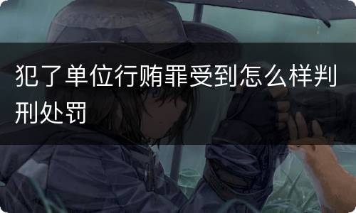 犯了单位行贿罪受到怎么样判刑处罚