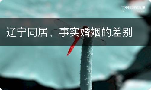 辽宁同居、事实婚姻的差别
