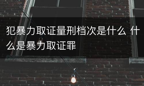 犯暴力取证量刑档次是什么 什么是暴力取证罪
