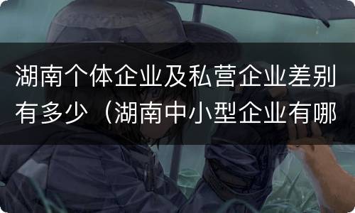 湖南个体企业及私营企业差别有多少（湖南中小型企业有哪些）