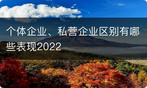 个体企业、私营企业区别有哪些表现2022