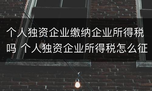 个人独资企业缴纳企业所得税吗 个人独资企业所得税怎么征收