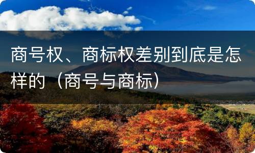 商号权、商标权差别到底是怎样的（商号与商标）