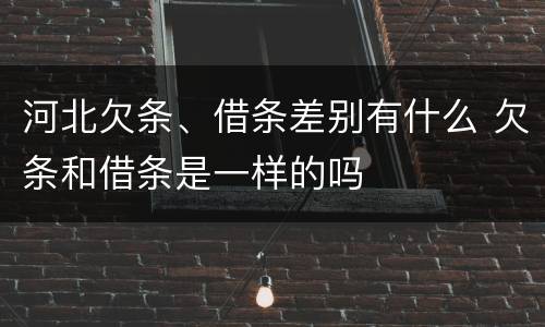 河北欠条、借条差别有什么 欠条和借条是一样的吗