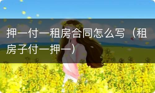 押一付一租房合同怎么写（租房子付一押一）