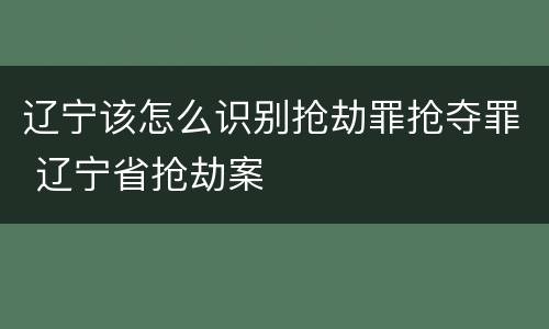 辽宁该怎么识别抢劫罪抢夺罪 辽宁省抢劫案