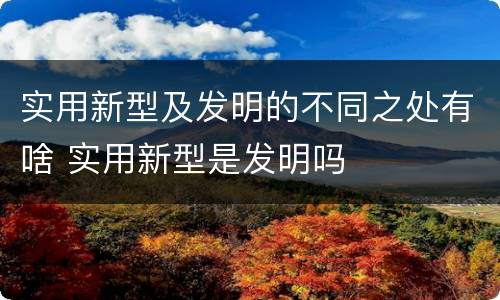 实用新型及发明的不同之处有啥 实用新型是发明吗